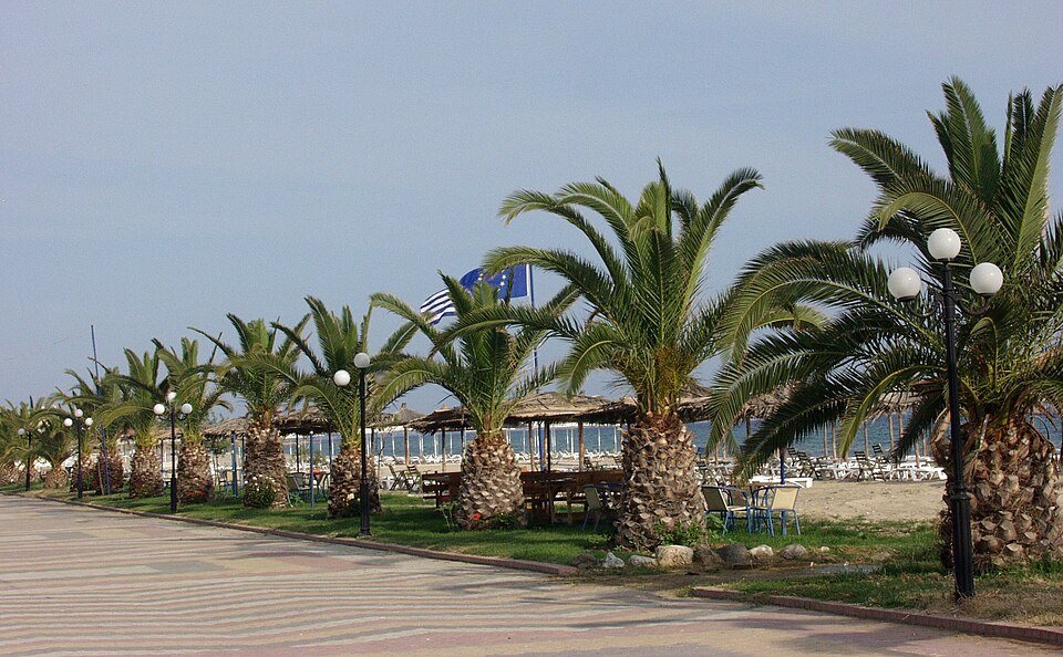 Nea Flogita