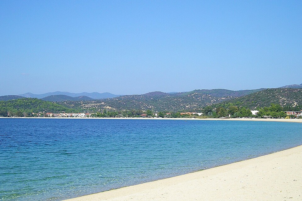 Toroni